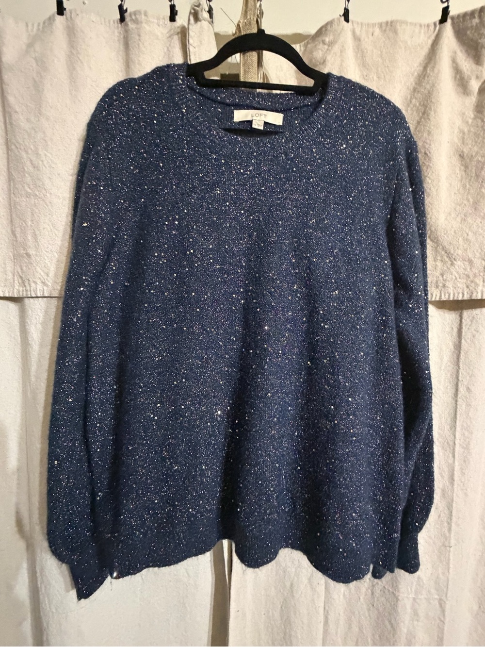 LOFT Navy Sparkle Crew Sweater
